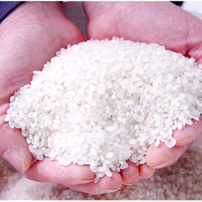 [미성농장] 미성쌀 20kg