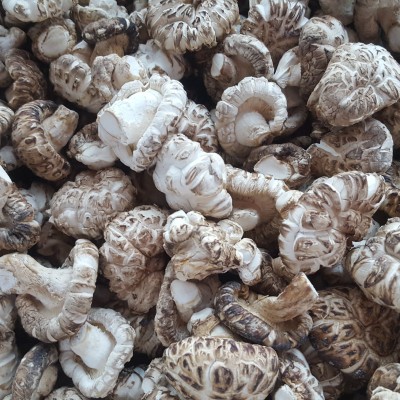 참나무 건표고버섯(500g)