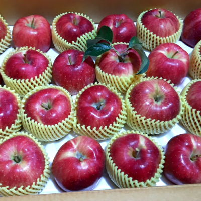 [신바람농장] 홍로 사과(가정용) 5kg (중18-21과)