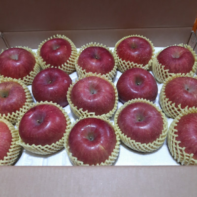 [신바람농장] 사과 부사(선물용) 5kg (12-14과)(특)