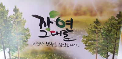 [구름위농장] 자연산 머위즙 60팩 *100ml*BOX